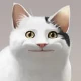 member profile image